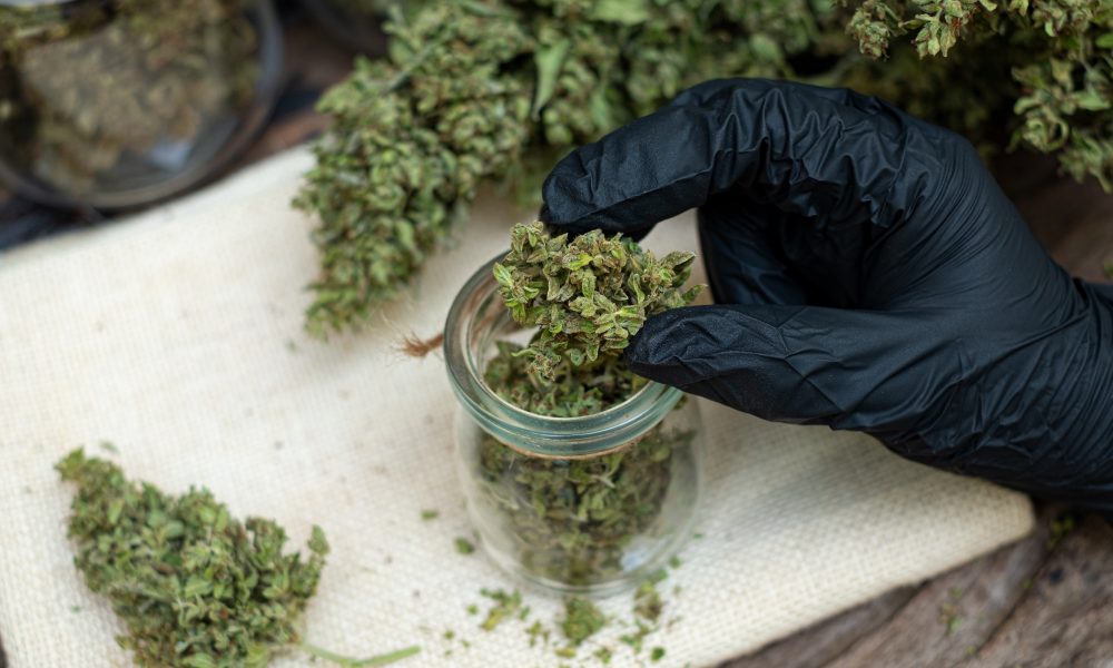 Best THCA Flower Brands of 2025