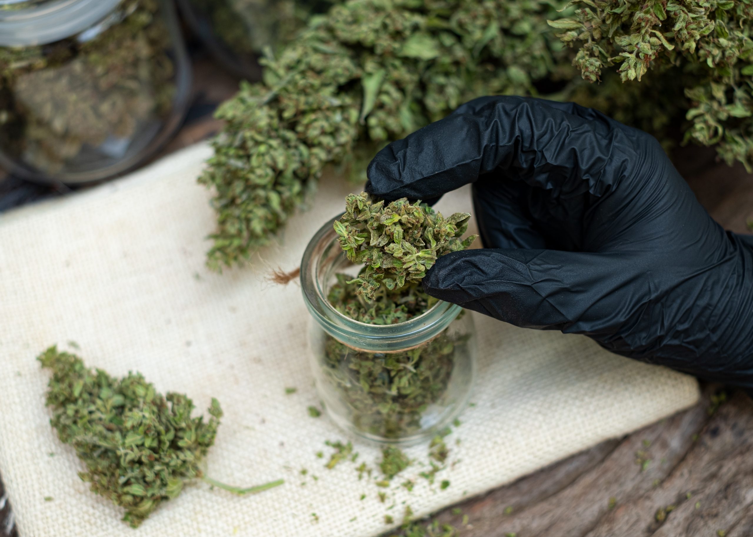 Best THCA Flower Brands of 2025