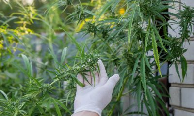 Poseidon Invests in Two New Jersey Dispensaries