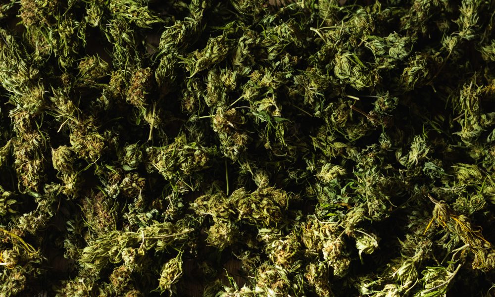 Is Weed Good for You