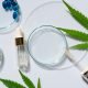 Oregon Dispensaries Deserve Your Attention