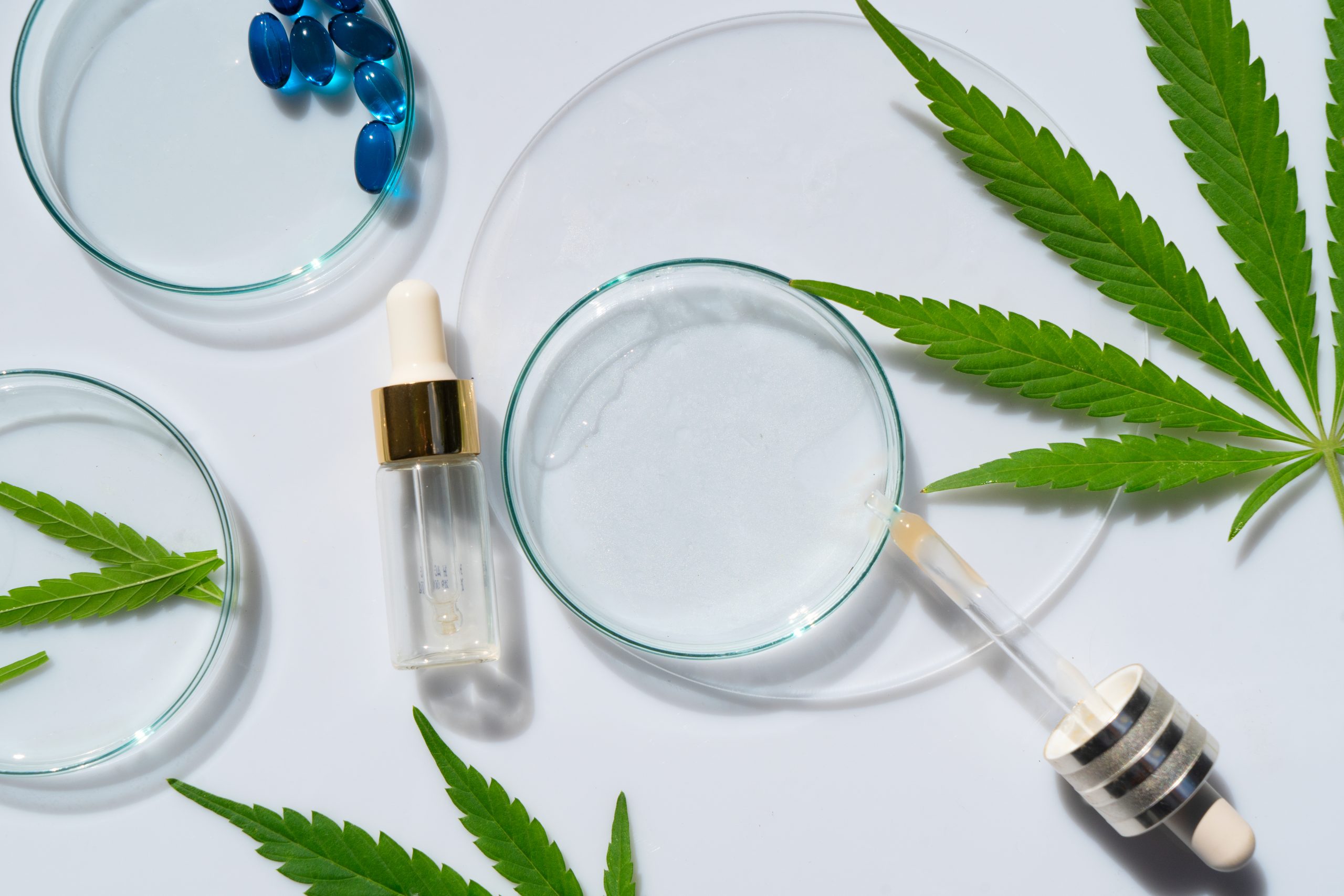 Oregon Dispensaries Deserve Your Attention