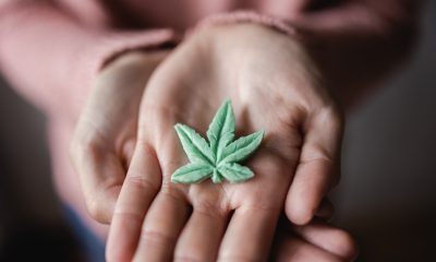 Modernizing Cannabis Infusions