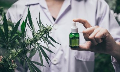 A Deep Dive Into Cannabis Essentials