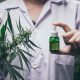 A Deep Dive Into Cannabis Essentials