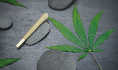 California Dispensaries to Watch