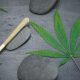 California Dispensaries to Watch