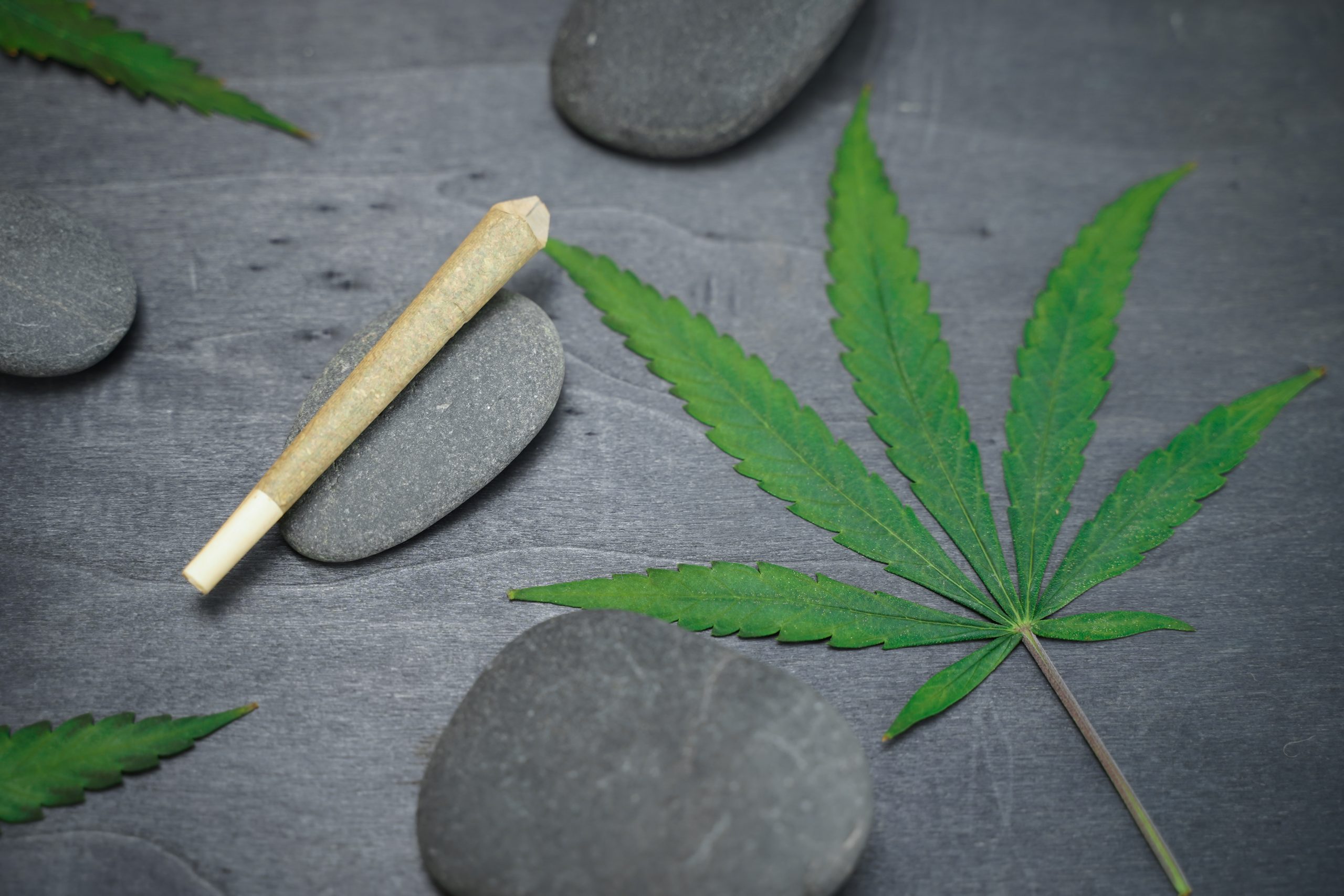 California Dispensaries to Watch