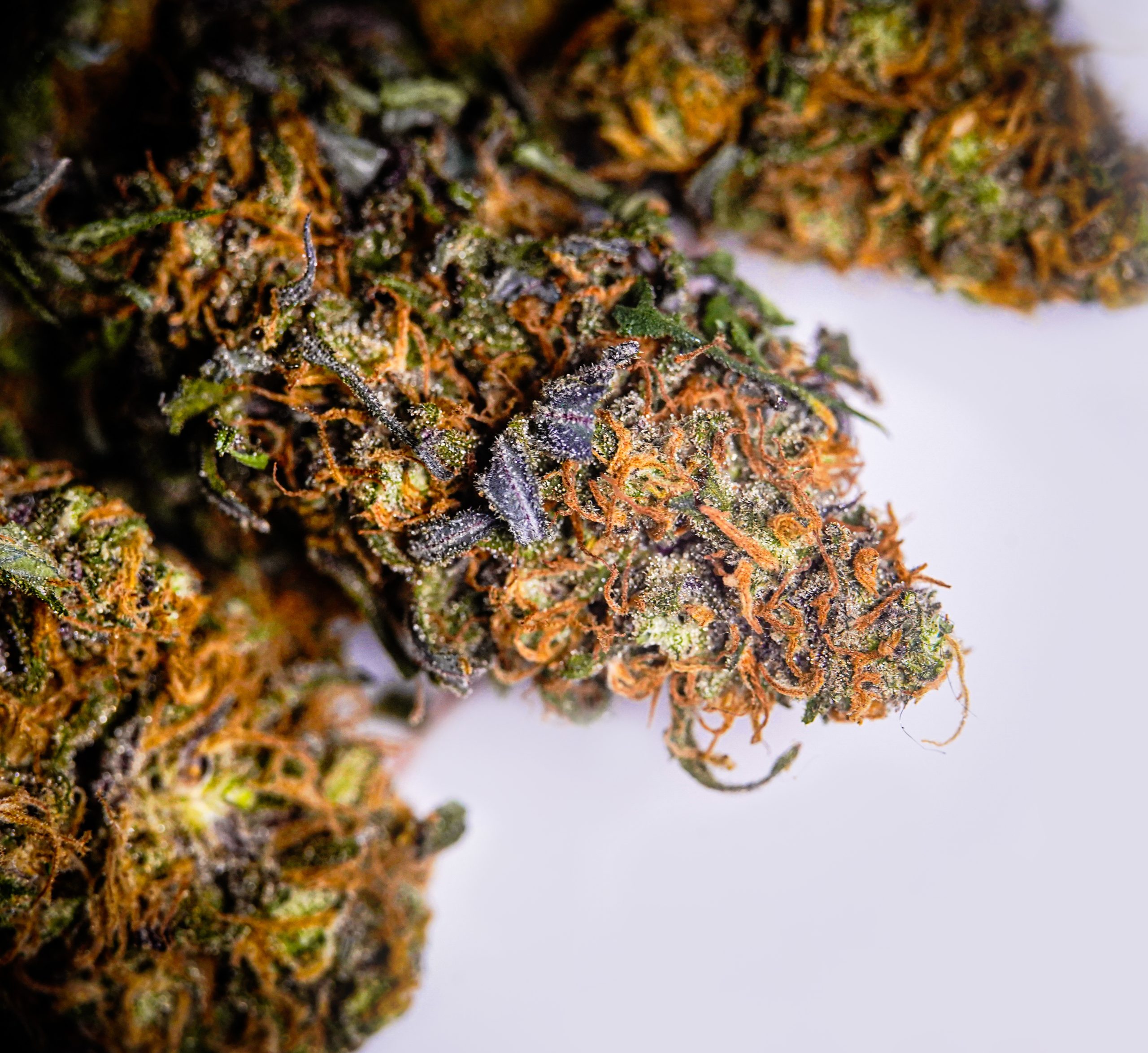 How Marijuana (Cannabis) Affects the Body