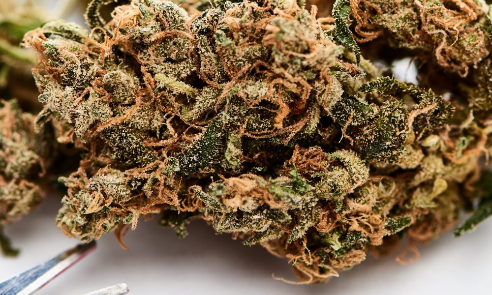Hawaii Moves to Expand Medical Cannabis
