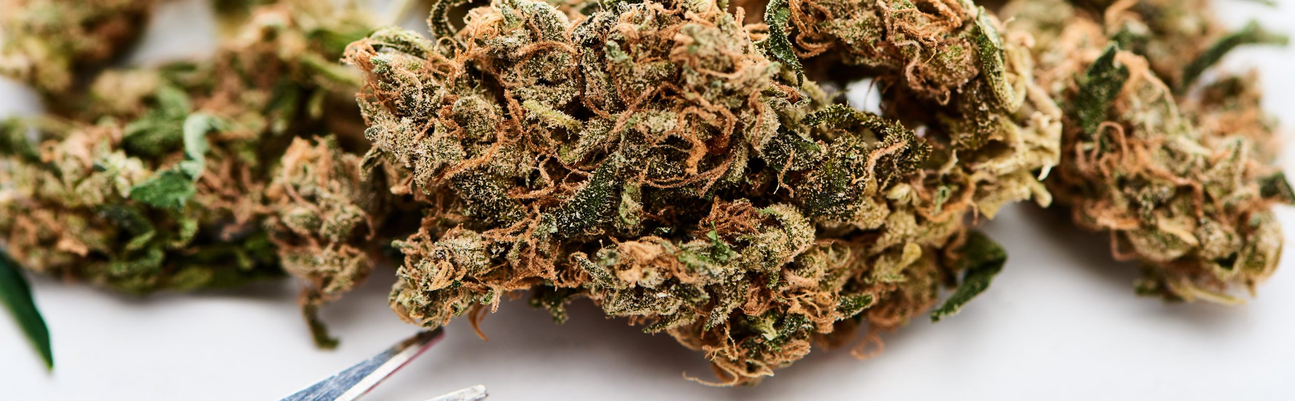 Hawaii Moves to Expand Medical Cannabis