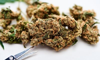 Dispensaries in Los Angeles That Are Redefining Canna