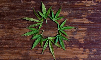 Game-Changing Dispensaries in California