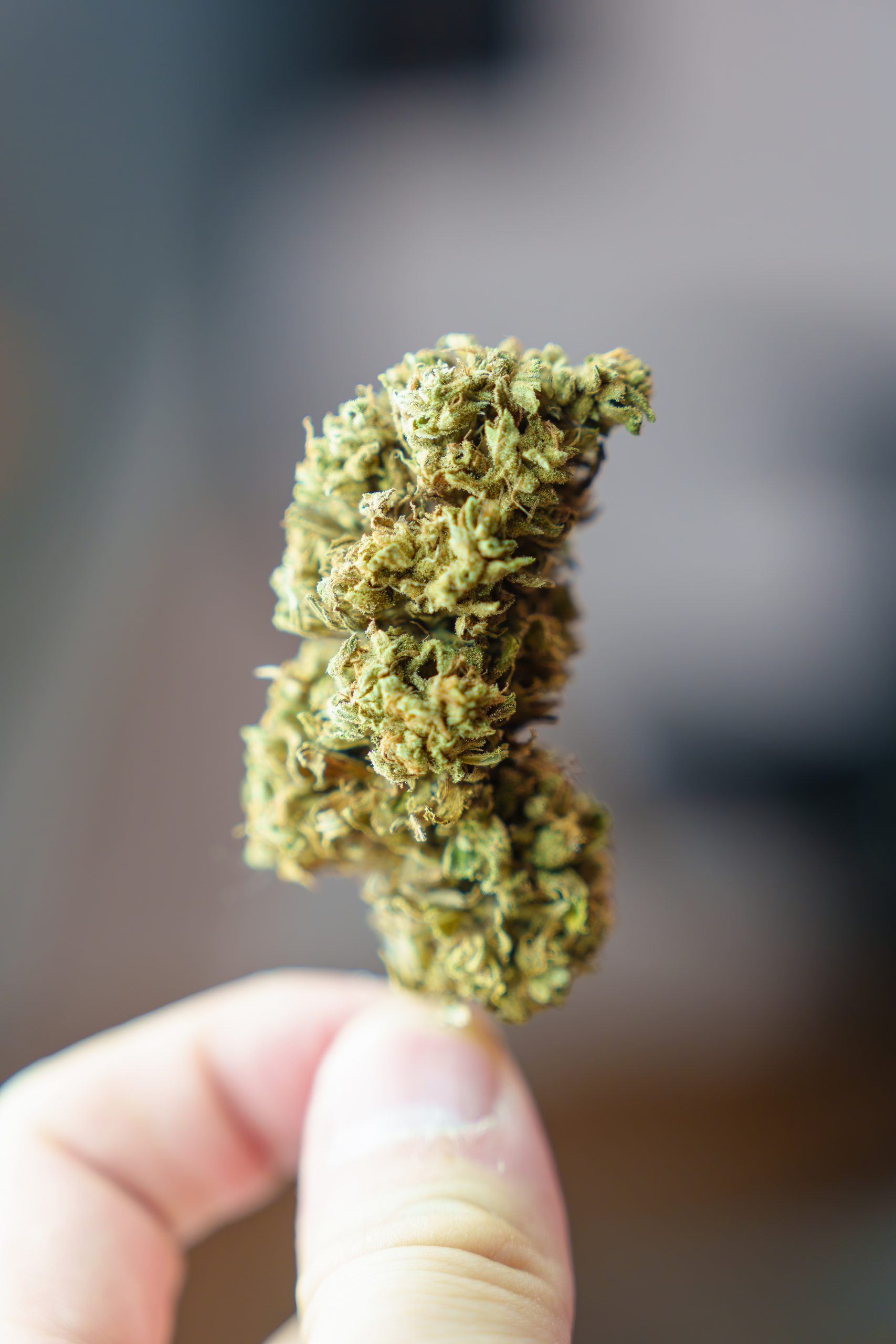 New York Cannabis Sales Could Hit $1.5 Billion