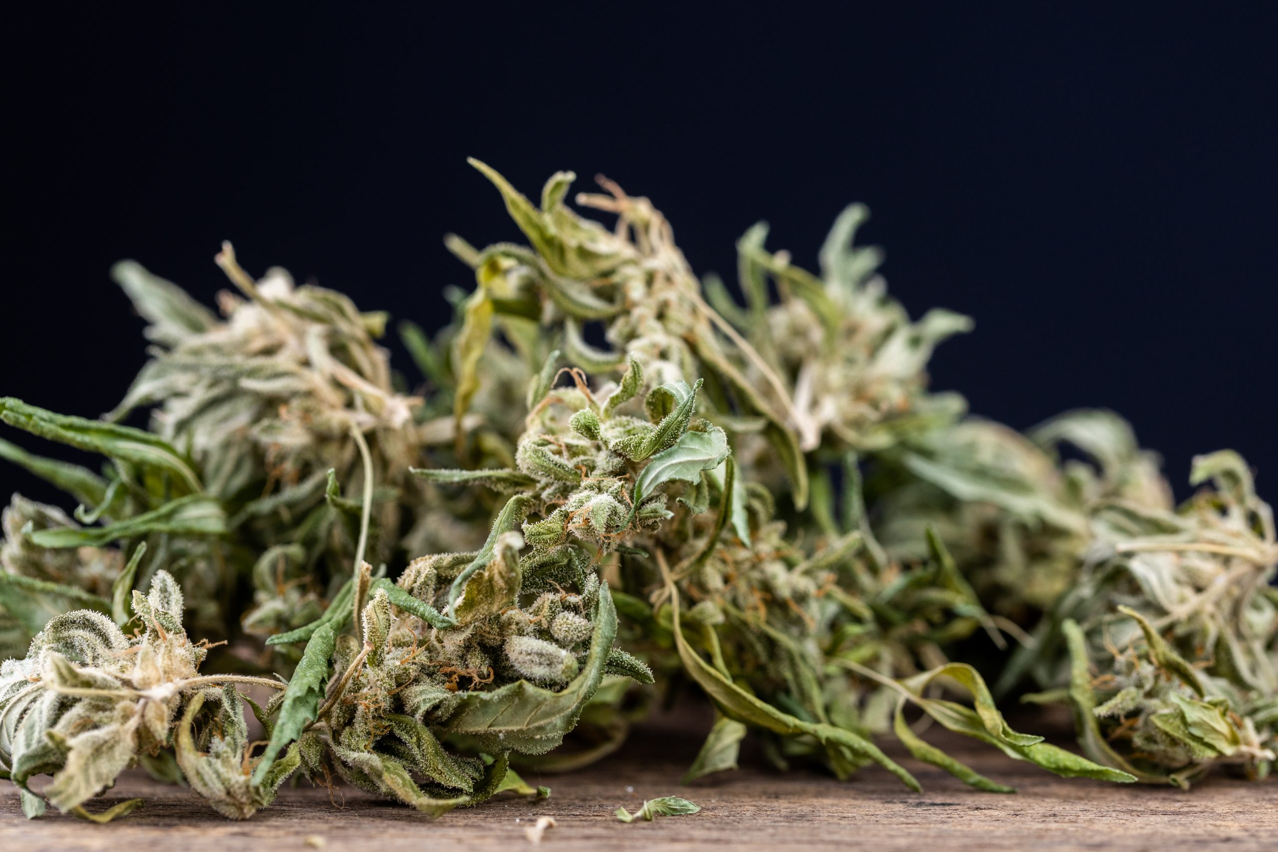 Medical Cannabis Shows Promise in Addiction Recovery