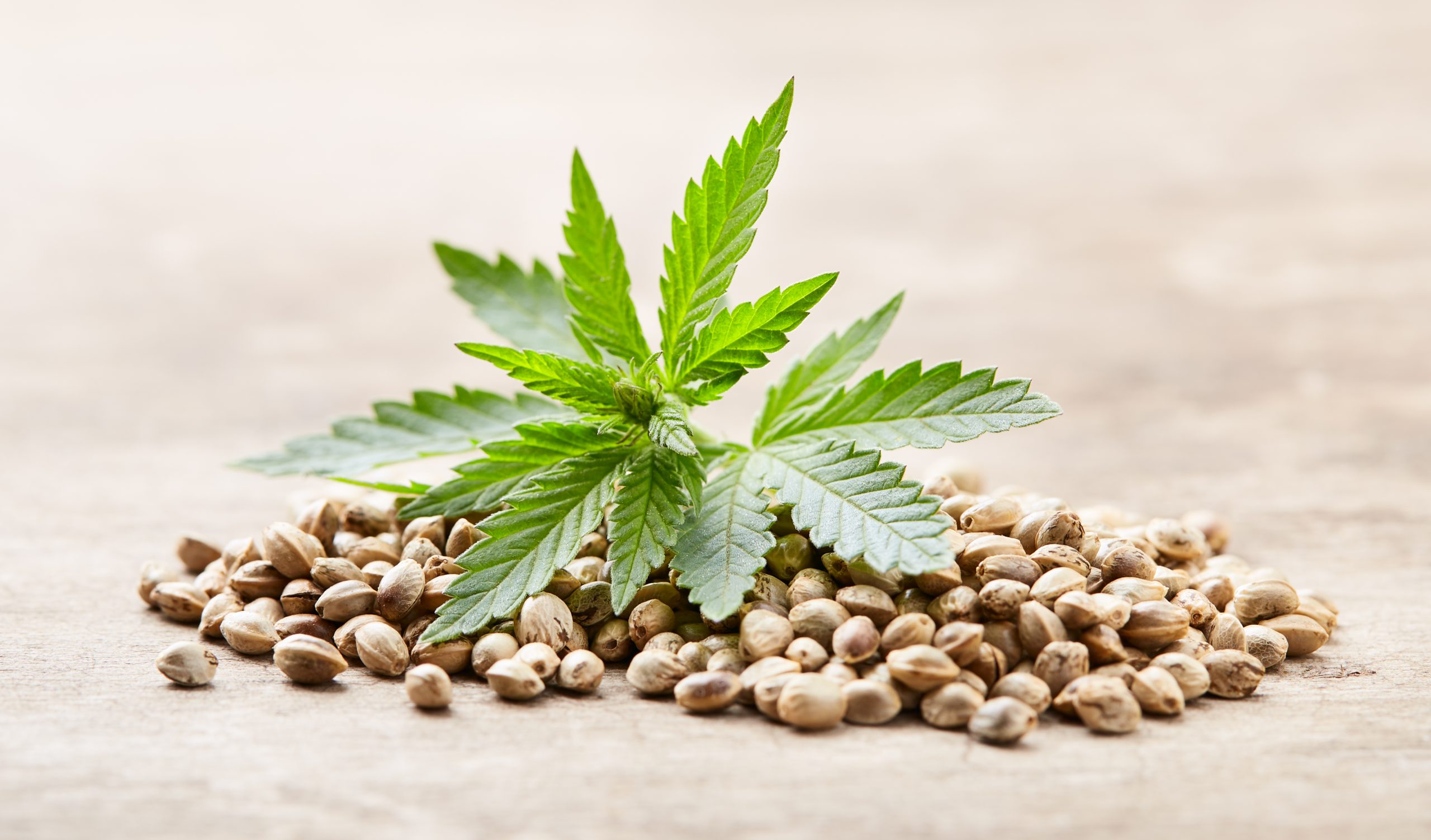 How Cannabis Helped Champ Bailey's Career