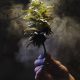 Rhode Island Finalizes Cannabis Rules