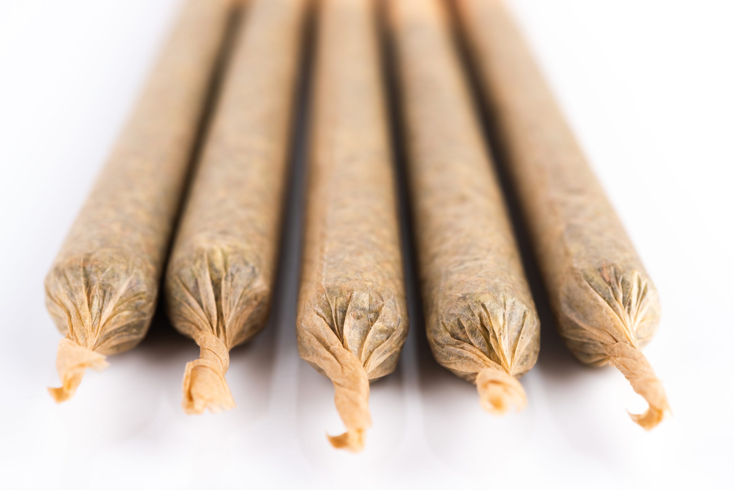 cannabis use rises