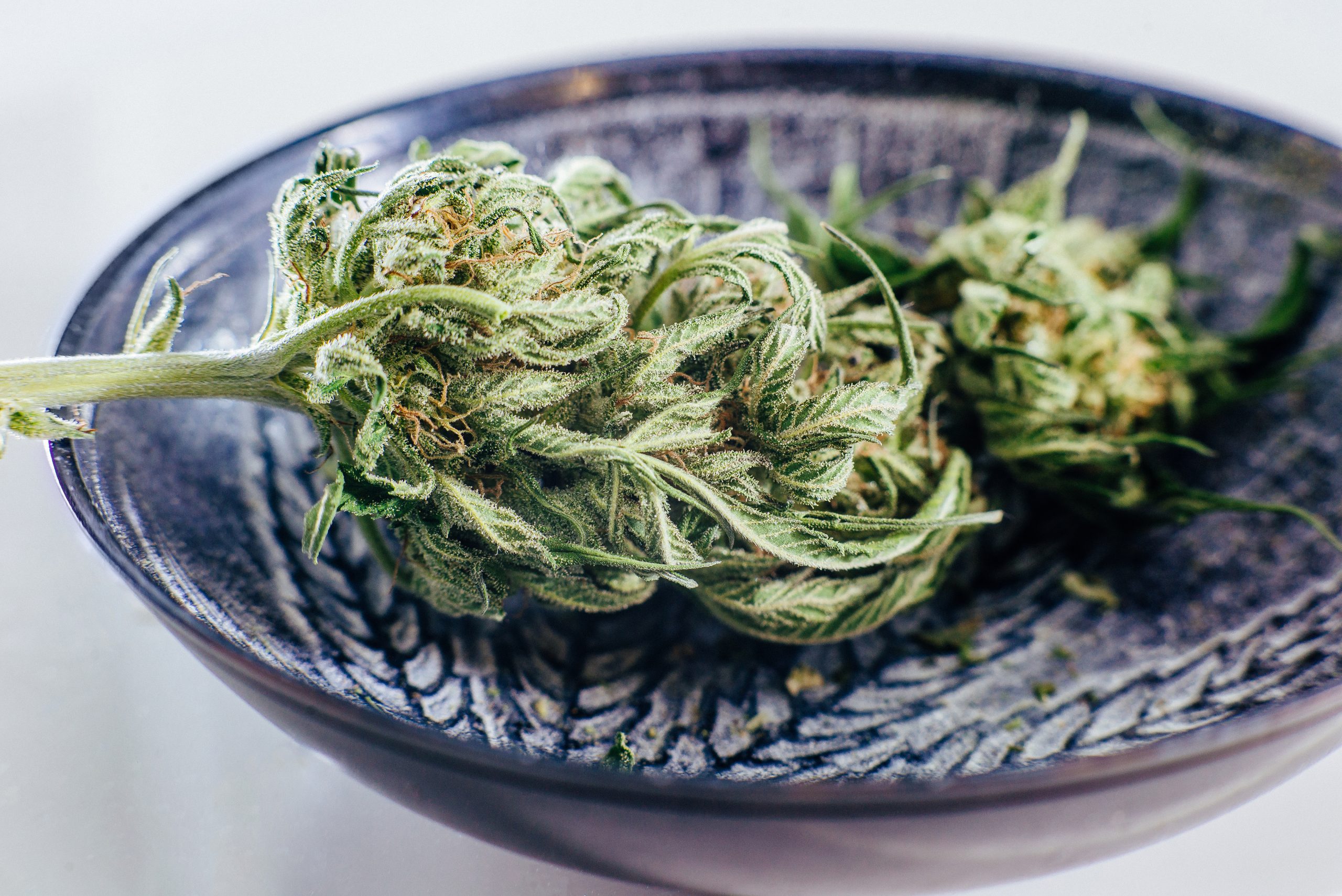 Innovation in Cannabis: 3 Dispensaries in California You Need to Visit