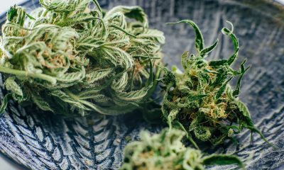 Medical marijuana