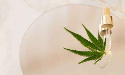 CBD and CBG Ointment