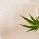 CBD and CBG Ointment