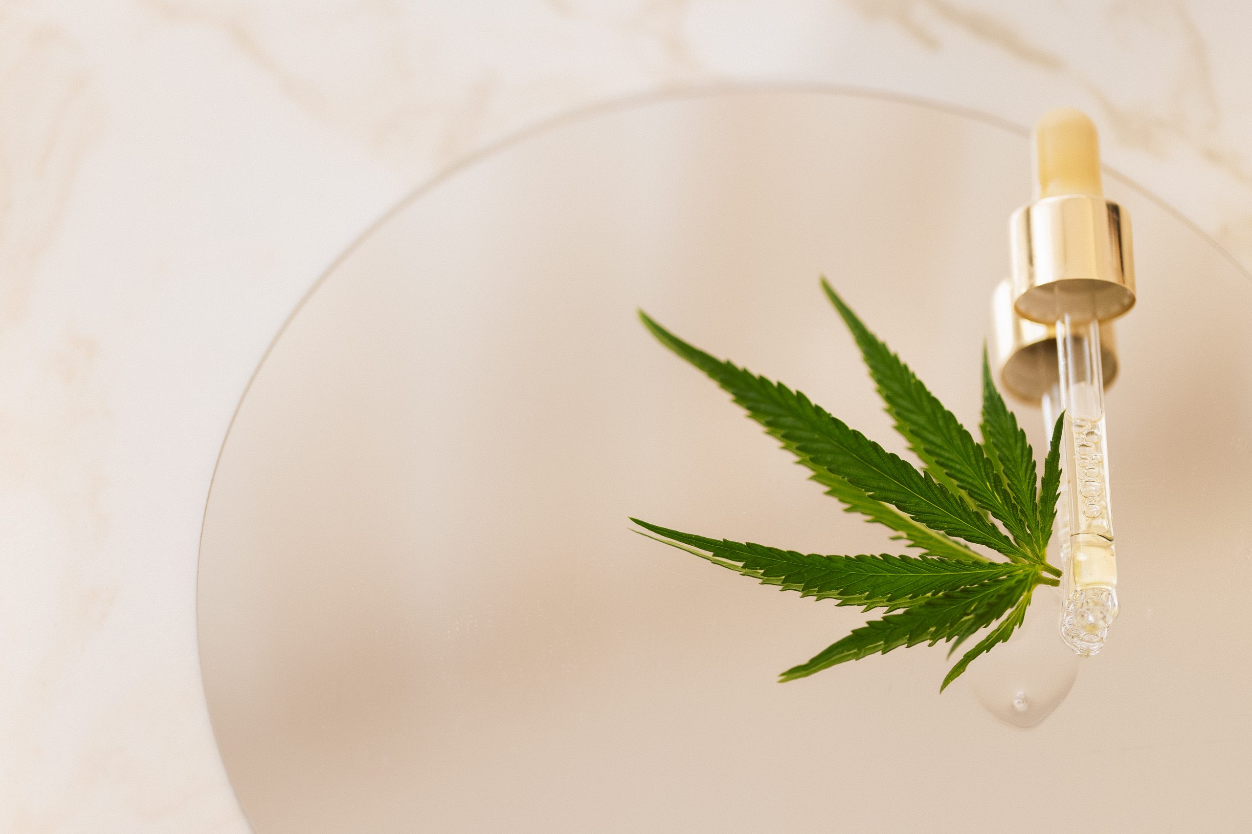 CBD and CBG Ointment