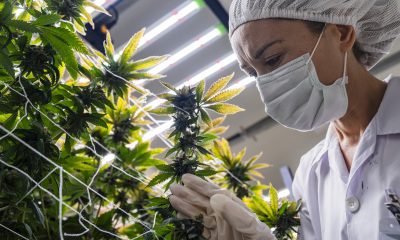 Why One Doctor Changed His Mind About Medical Marijuana