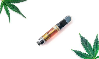 The Don by The Kind Pen