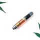 The Don by The Kind Pen