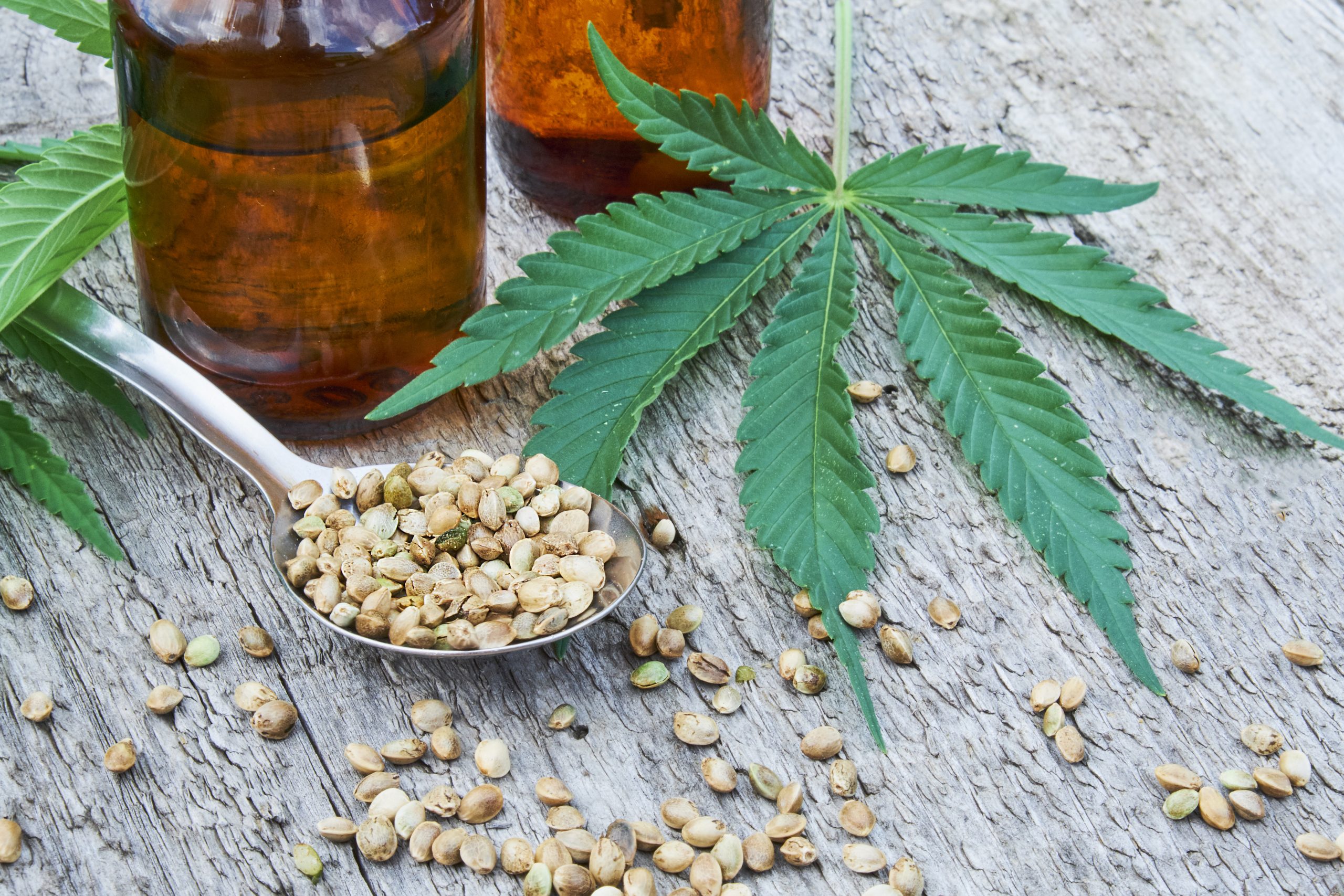 3 Must-Visit Dispensaries Changing the Cannabis Game in California